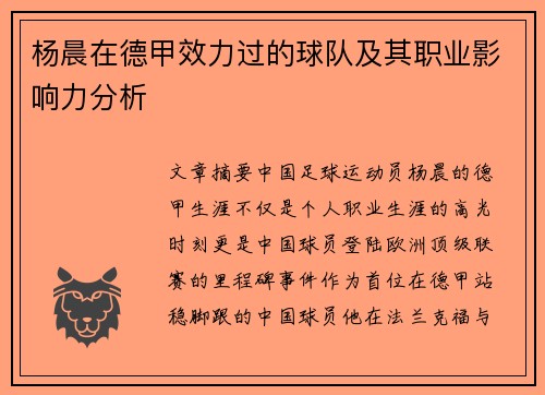 杨晨在德甲效力过的球队及其职业影响力分析