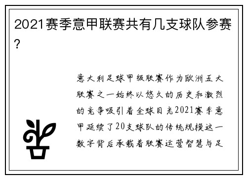 2021赛季意甲联赛共有几支球队参赛？